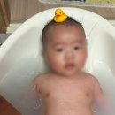 은비야 사랑해 | 은비언니 선물템 🩵 일본 육아템 추천 :: [스키나베브...Bébé) 아기 입욕제] 사용법부터 사용 후기까지 !