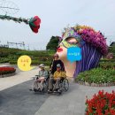 중화산점 기아오토큐 이미지