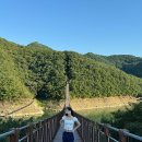 대종카정비 | 제천] 가볼만한 곳 여행 코스 추천 | 옥순봉 출렁다리, 청풍호반케이블카, 의림지 및 용추폭포, (고수동굴)