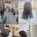 다다살롱 | 다산미용실, 제 인생 머리 찾아준 '살롱드 다다' 솔직 후기
