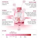 백승희피부관리 | 여성청결제 :: 매일매일이 산뜻하고 부드러운 여성전용세정제 _ 바이엘 여성청결제 카네스케어 데일리