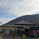 서촌로 | 팔공산 맛집 팔공노을철판구이, 미나리 삼겹살 후기