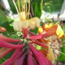 (주)참좋은행복 이미지