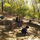 행복숲어린이집 이미지