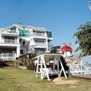 안면도발리 이미지