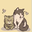 디지털 드로잉 기초 (오후) 이미지