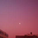 달이 떴다고 전화를 주시다니요 이미지