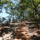 영천시 그린환경센터 이미지