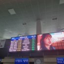 용초도펜션
