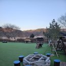 사랑독채 | 홍천 애견동반 펜션 추천🐶 사랑독채잠빌펜션 내돈내산 후기!