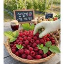 동명 쇼핑하우
