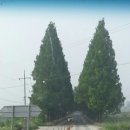 짱서방 - 수성구 국채보상로192길 37 | 짱서방