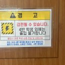 동판교로60번길 | 2024 일상 포토덤프, 4월의 꽃말은 사랑