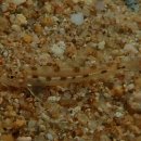 낙동강물환경연구소 이미지