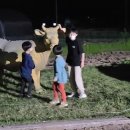 초평골 한우마을 이미지