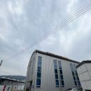 호평 신동태권도장 이미지