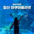 아쿠아플라넷 일산 | 일산 아쿠아플라넷 아기와 가볼만한곳 입장료 바다코끼리 할인 공연 시간