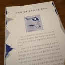 토토커피로스터스 | 20251114-롬복2일차 (롬복>길리아이르)