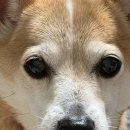 개발바닥친구들 이미지