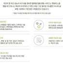 더엘에스
