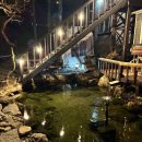 풍경 | 가평 최대 20인 대가족 단체펜션 추천｜연못이 있는 풍경 후기