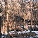 용인자연휴양림 야영장 이미지