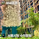 중구청사 부설주차장 | 시청역 근처 겨울방학 실내 놀거리, 서울 시청 수직정원 주차장 꿀팁