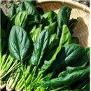 덕은경희한의원 이미지