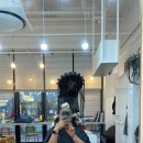 월천Salon