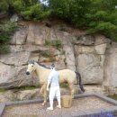 세마지 네이버블로그