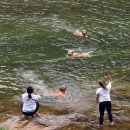 달빛강가 이미지