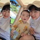 에이디디(ADD)캠핑장 이미지