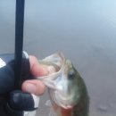 여주-0826 이미지