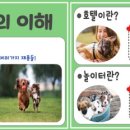 남구 대학로 놀이터 이미지