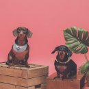 콩스빌리지 이미지