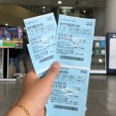 우성해수스파 | (국내여행) 6/4~6/9 전라남도 여수, 완도, 해남, 진도, 목포, 신안 여행(2탄)