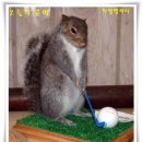희망별자리 네이버블로그
