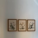 의성한방보양온천 | [거제] 고현 백숙 맛집 거제 온기당 | 거제 가족모임으로 몸보신하기 좋은 블루리본 식당