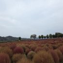 지에스25 호원스타일점 이미지