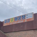 오리현길 | [강원도 원주 맛집] 괴강 매운탕(빠가사리 매운탕, 메기 매운탕) *솔직후기