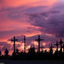 남선약국 이미지