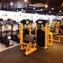 스카이 피티 이미지