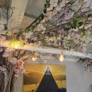 감성키친 | 화성 감성 카페 추천_아스타나키친 방문 후기