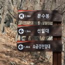 연꿀빵