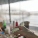 부산 기장 연화리 해녀촌 포장마차, 부산갈매기 등 먹먹 먹은 후기