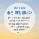 평내호평진 공인중개사사무소 | 🏡 호평동 우미린아파트/두산위브파크아파트 실거주 후기와 입지 분석