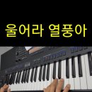 쏠전자올겐