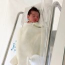 나일농원 | 40주+2:: 수원 오월희망산부인과 자연분만 초산 출산후기:: 무통주사O 회음부열상주사O