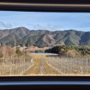 보르도애플스테이 이미지