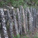 구성농장 이미지